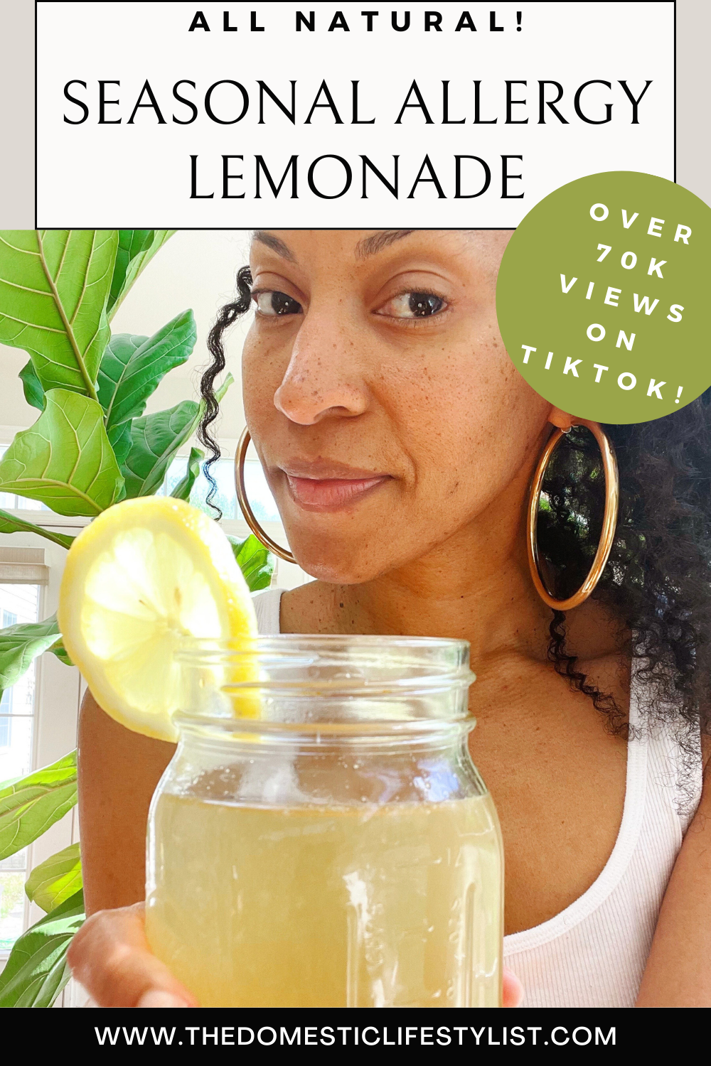 Seasonal Allergy Lemonade
