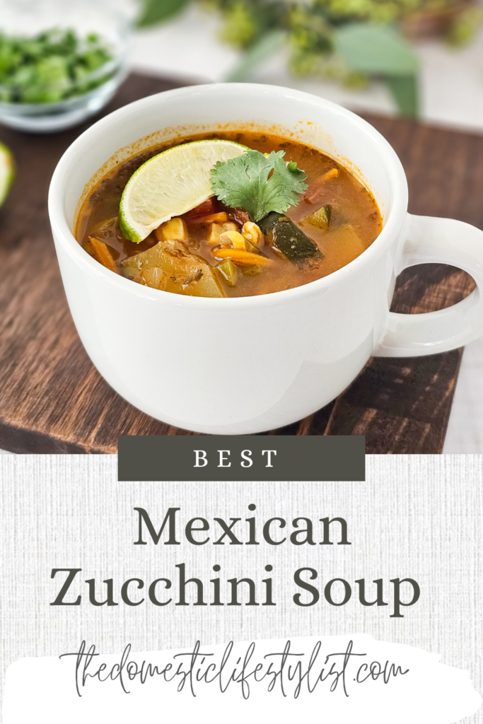 Serving of Mexican Zucchini Soup 