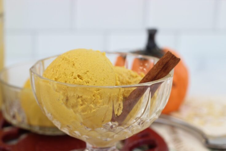 Raw Pumpkin Ice Cream 